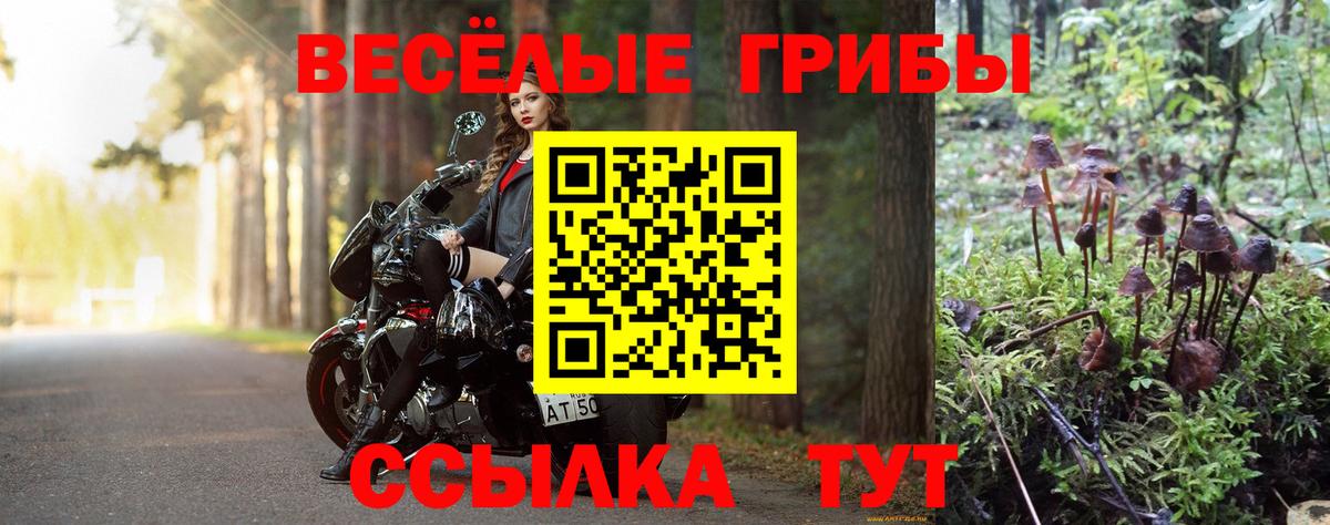 цены   Галлюциногенные грибы прущие грибы  Вход с VPN  Шебекино  Псилоцибиновые грибы Psilocybine cubensis 