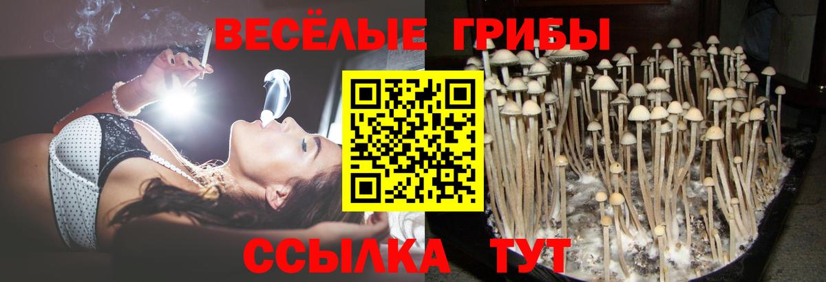 Галлюциногенные грибы Magic Shrooms Шебекино